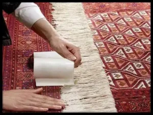 نگهداری از ریشه فرش